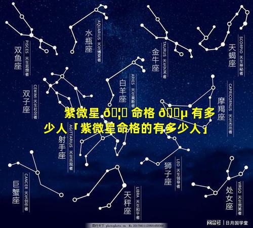 紫微星 🦈 命格 🐵 有多少人「紫微星命格的有多少人」